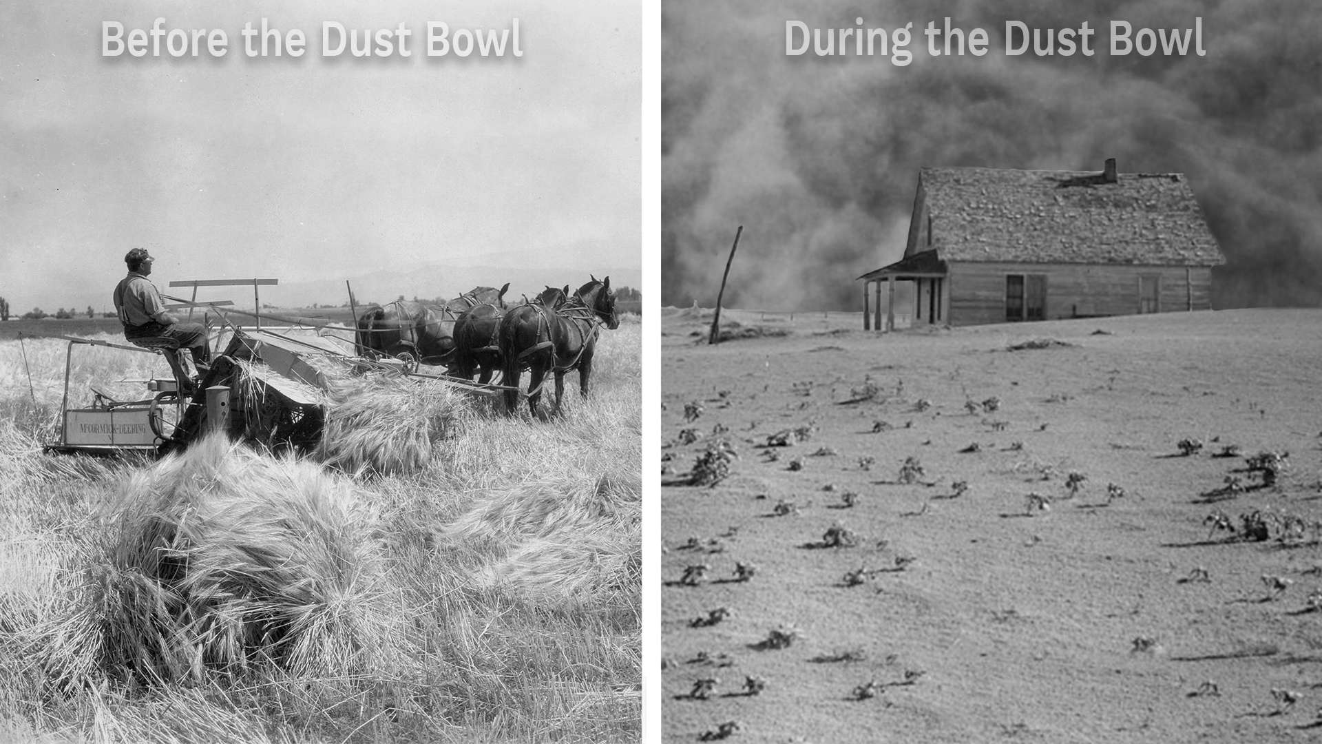 dust-bowl-disaster