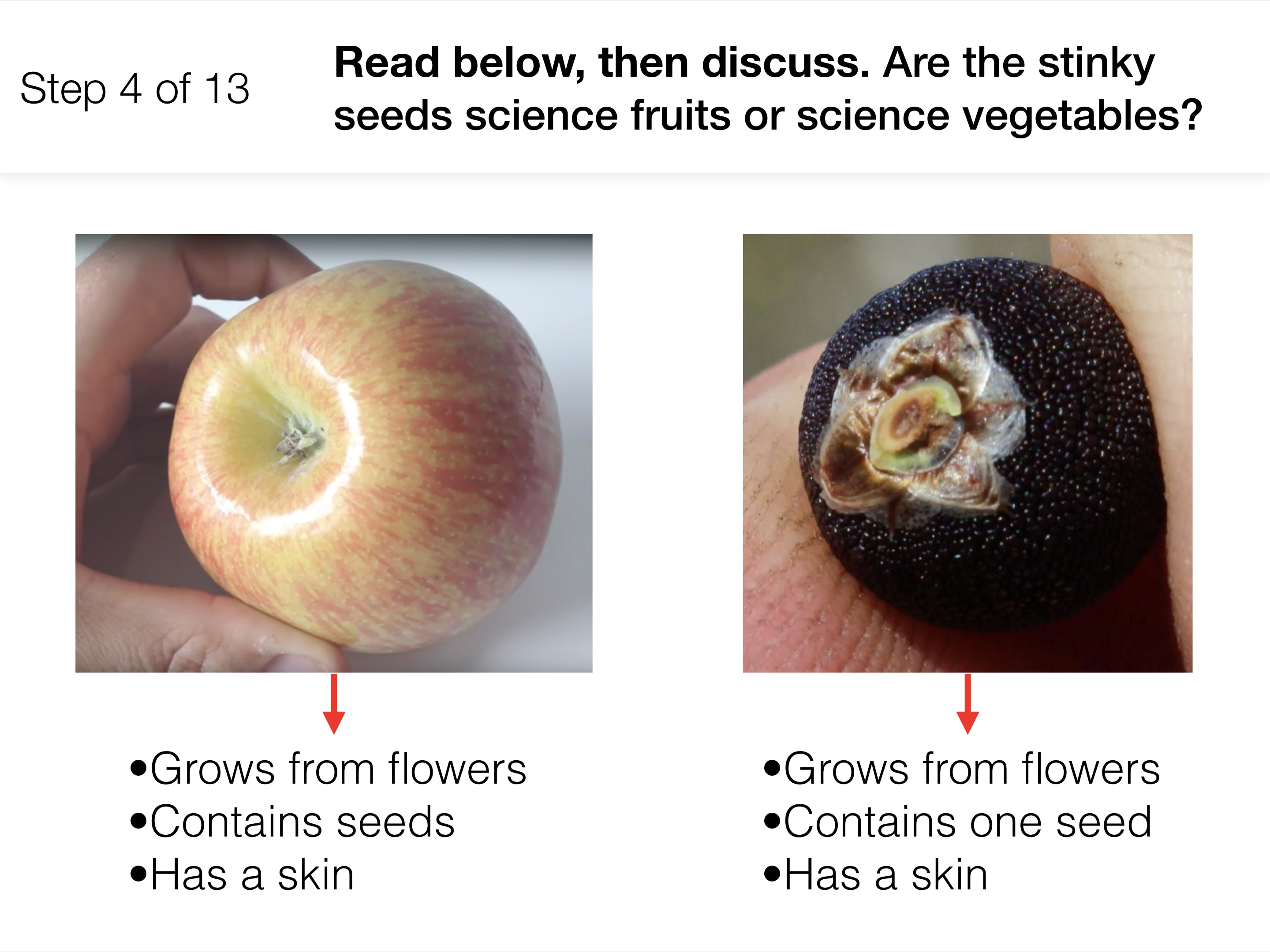 Why do plants give us fruit?