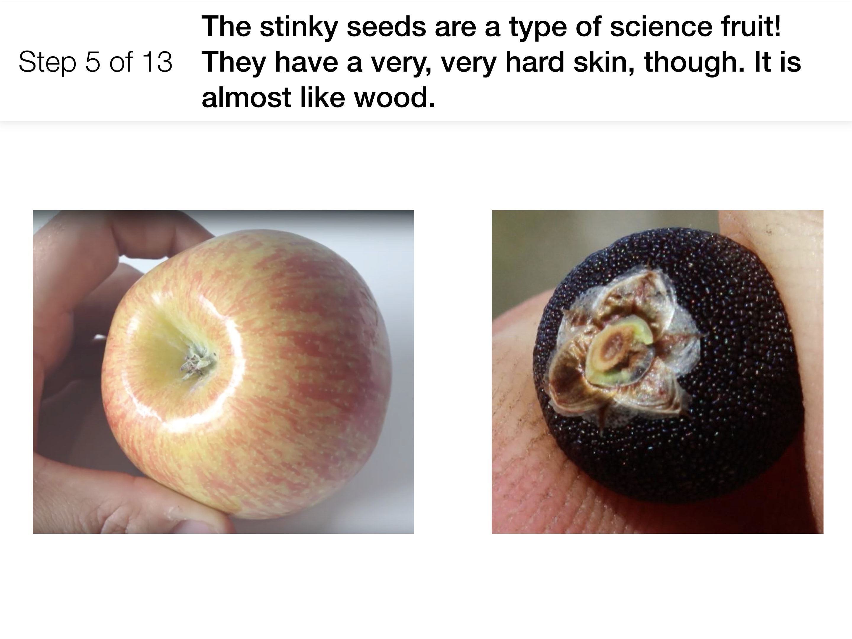 Why do plants give us fruit?