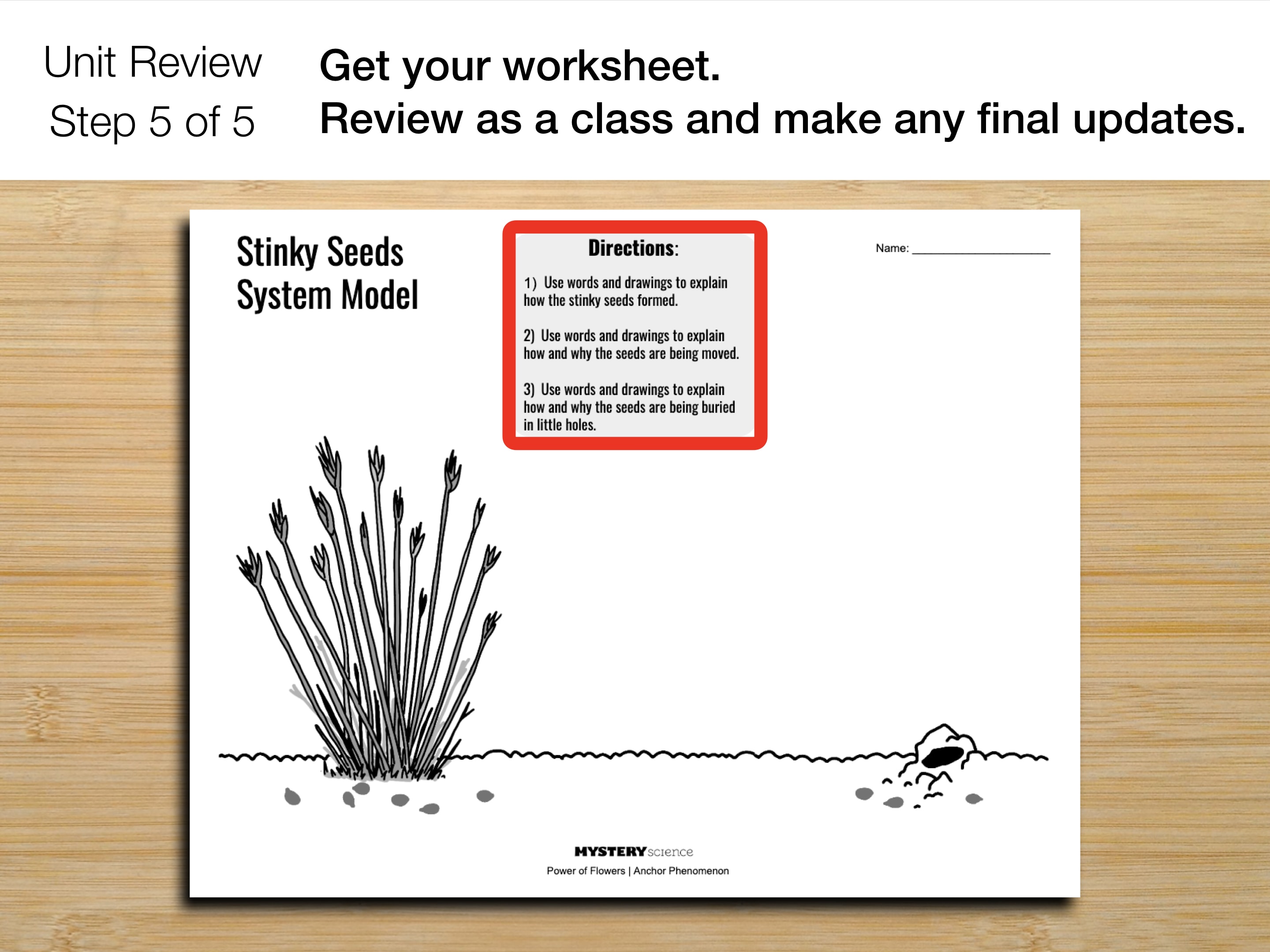 PowerofFlowersPerformanceTaskS5