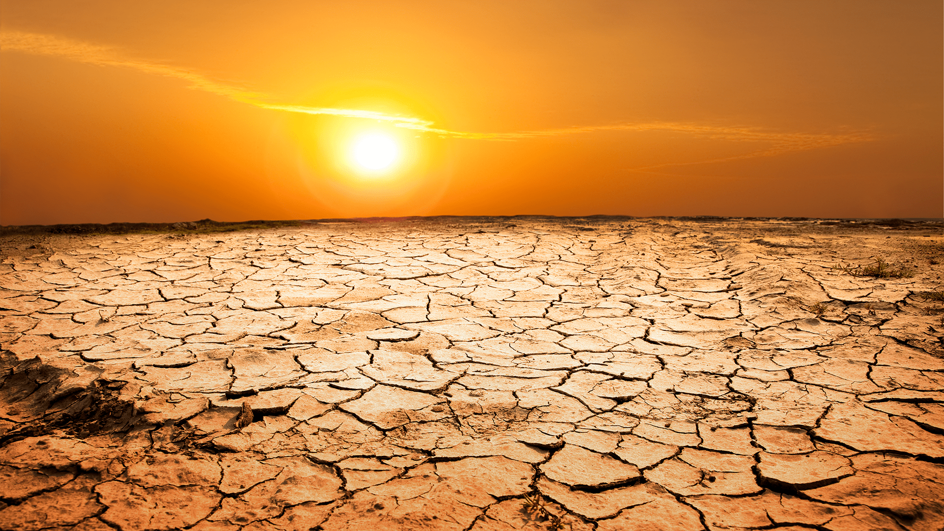 Солнце сильно палит. 17 Июня Всемирный день борьбы с опустыниванием и засухой. Жара засуха. Жара в пустыне. Жаркая пустыня.