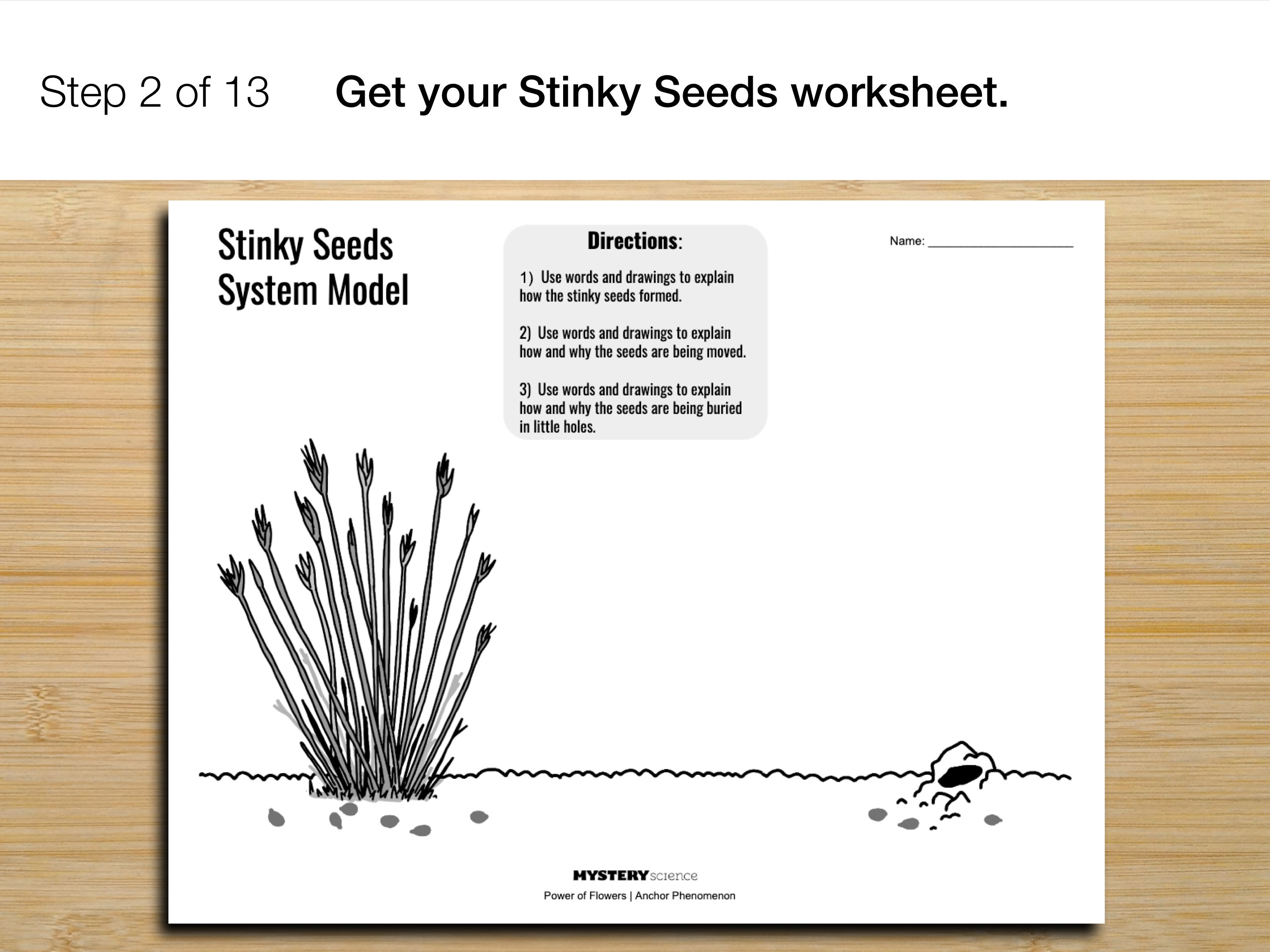 Why do plants give us fruit?
