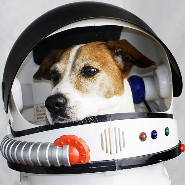 How long can people (and animals) survive in outer space?