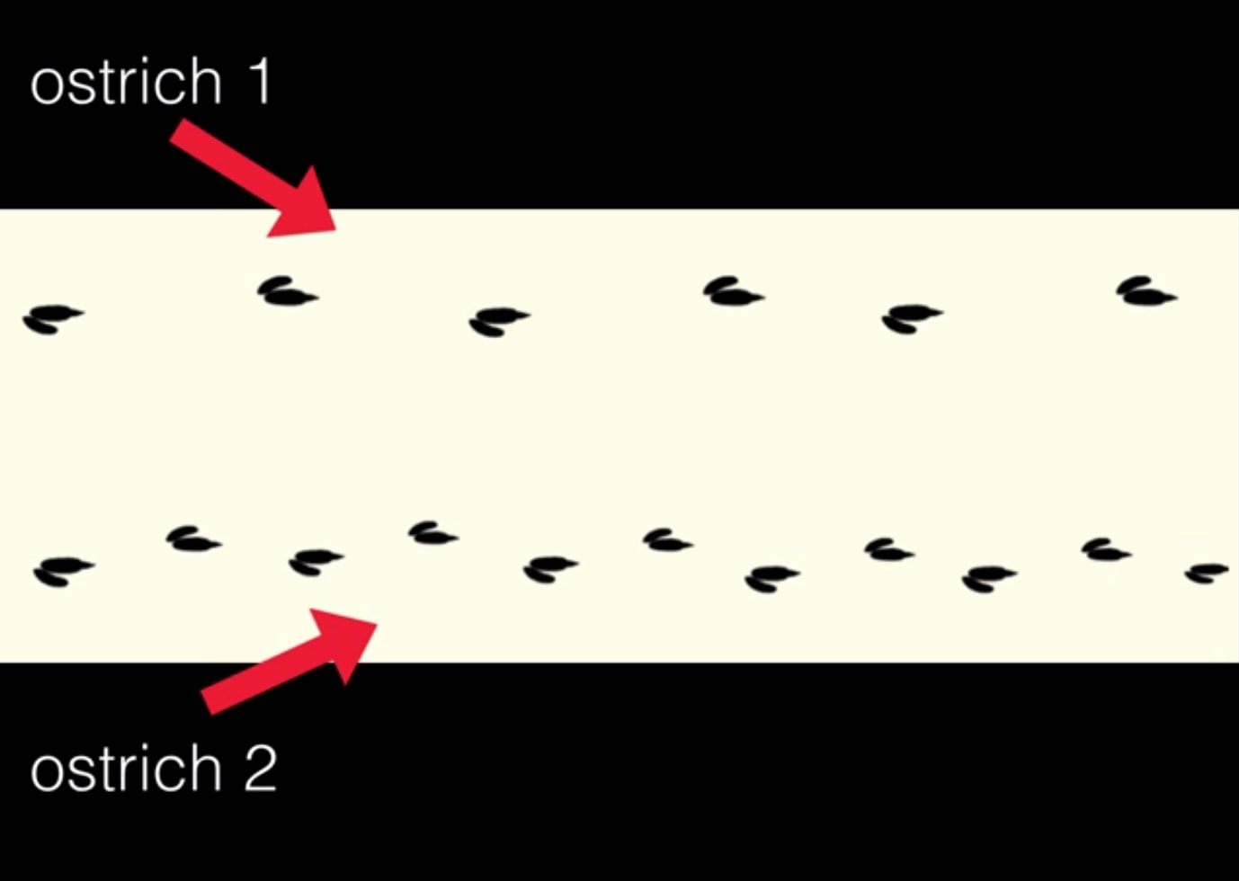 OstrichFootprints