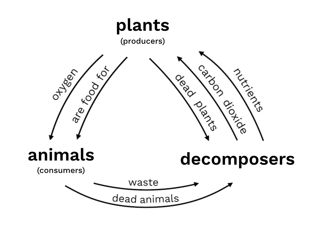 diagram sketch