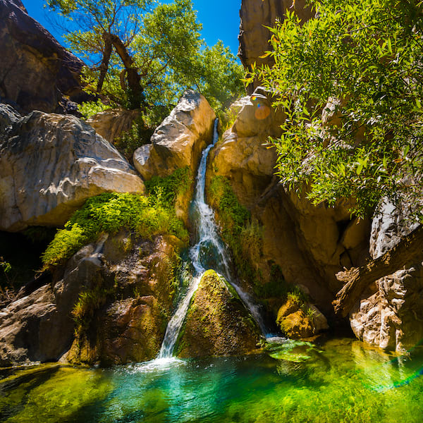 How can anything live in Death Valley?
