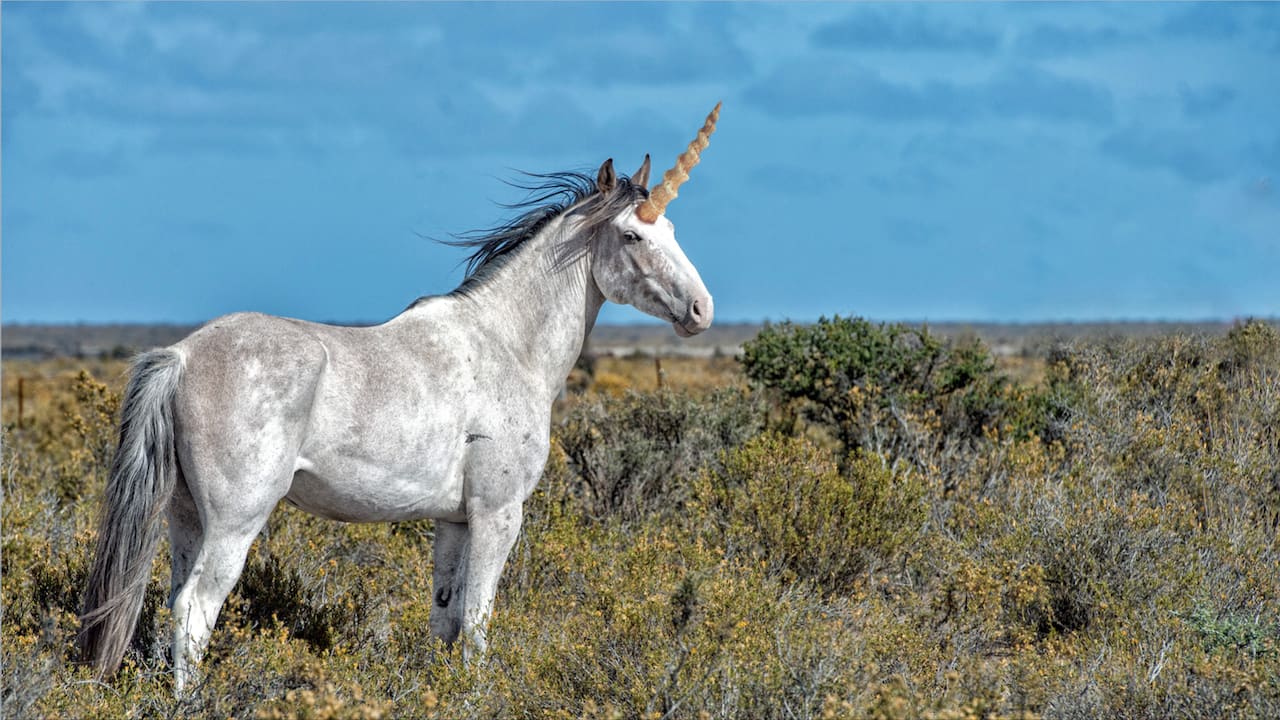 Are unicorns real? Mystery Science