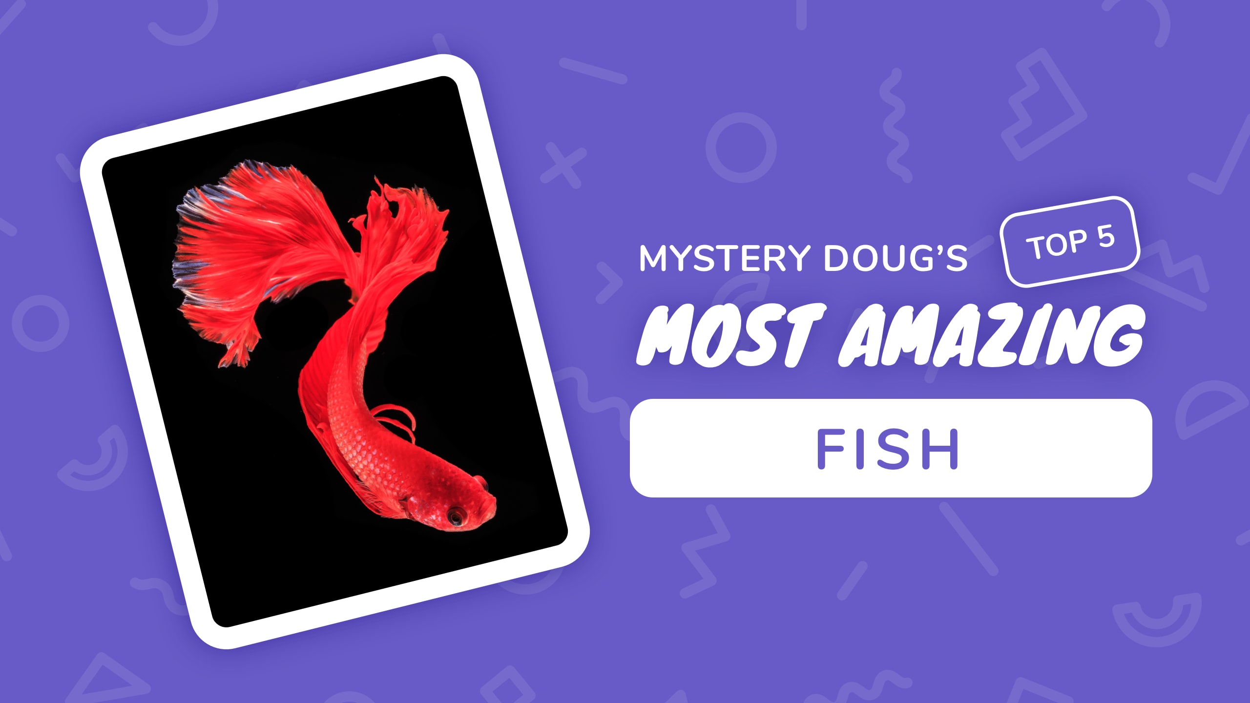 Top5 fish title