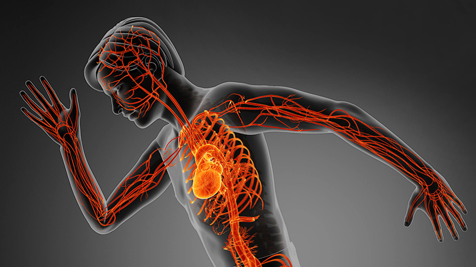 Why blood. Why blood. Fun fact about blood. Донорство крови эмблема. Fun fact about blood.