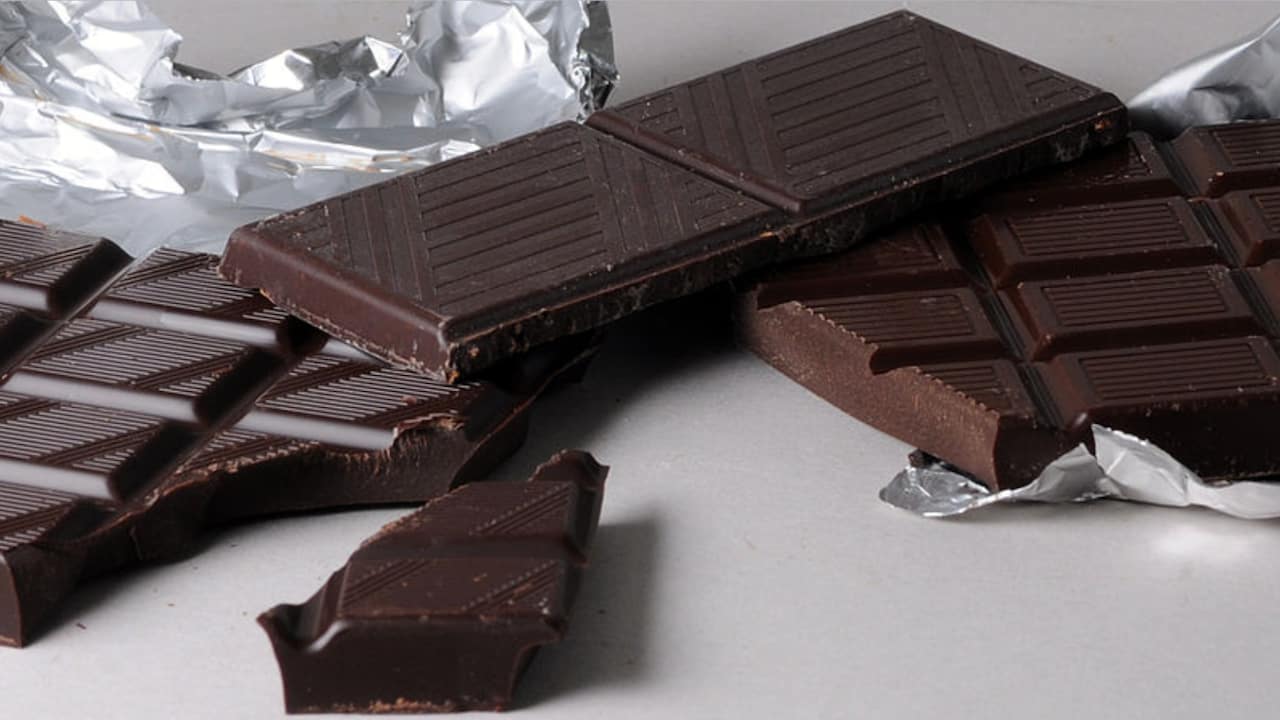 where-does-chocolate-come-from-mystery-science