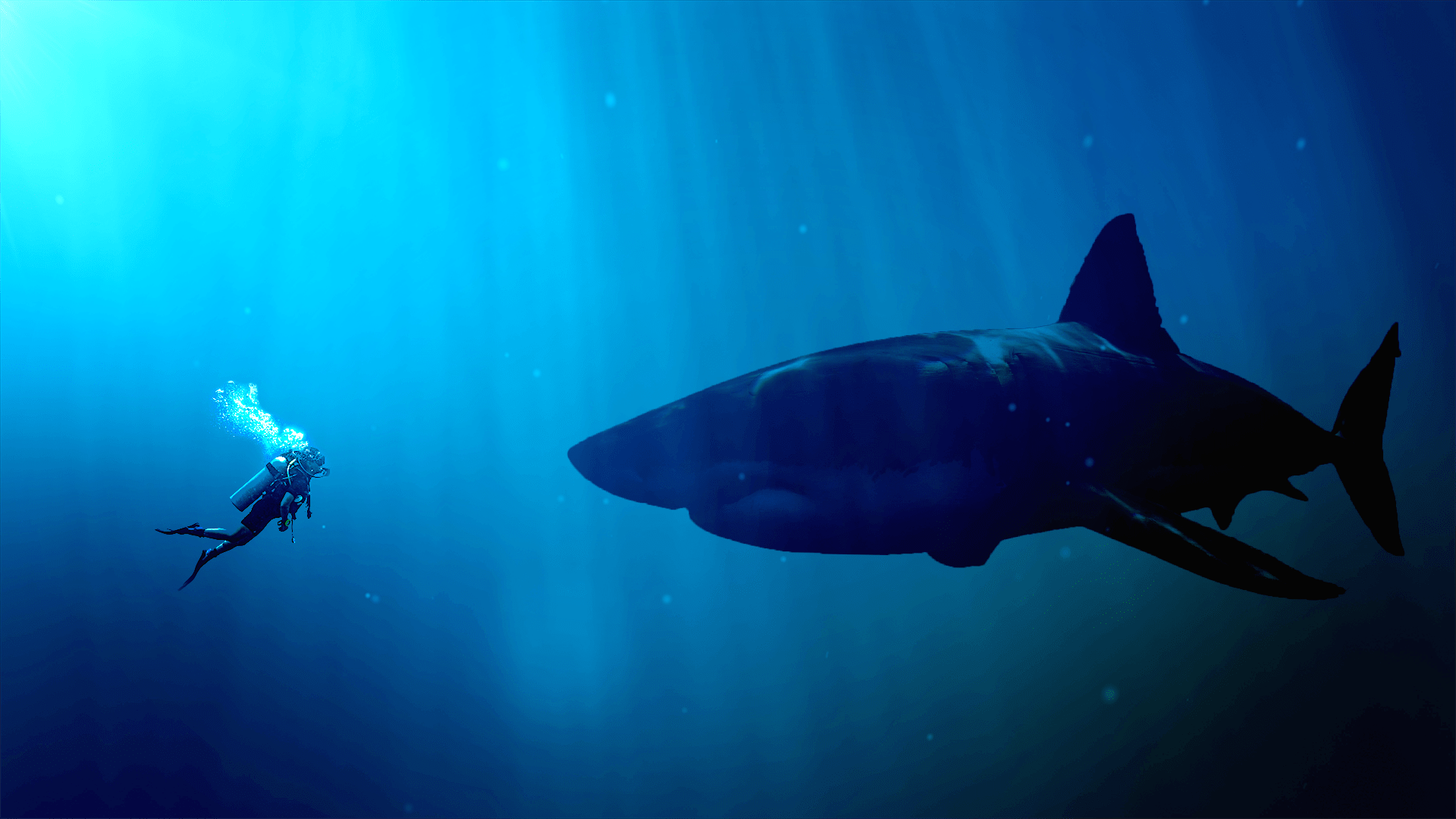 What’s the biggest shark that ever lived? - Mystery Science