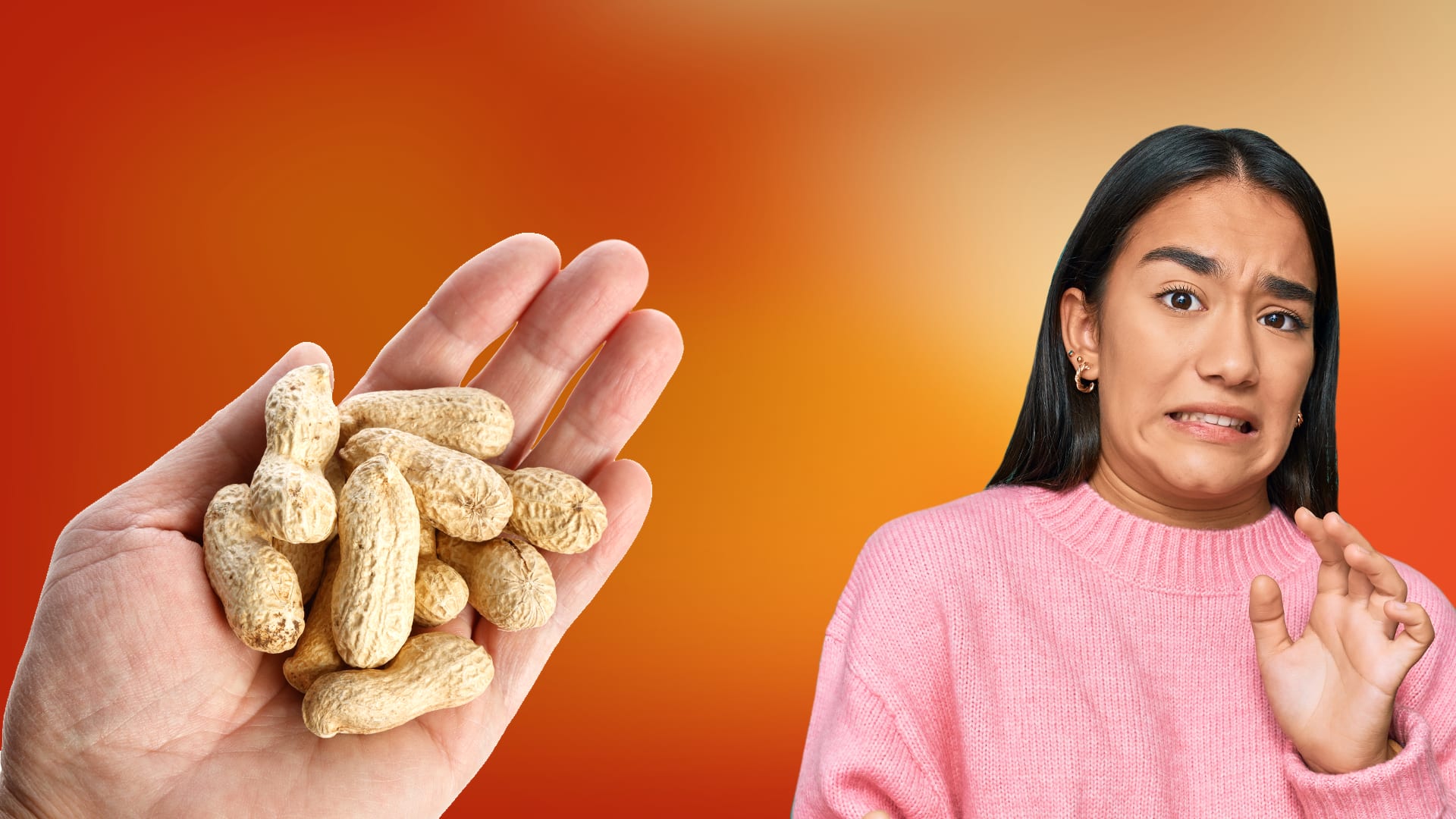 Why Are Some People Allergic To Peanuts Mystery Science