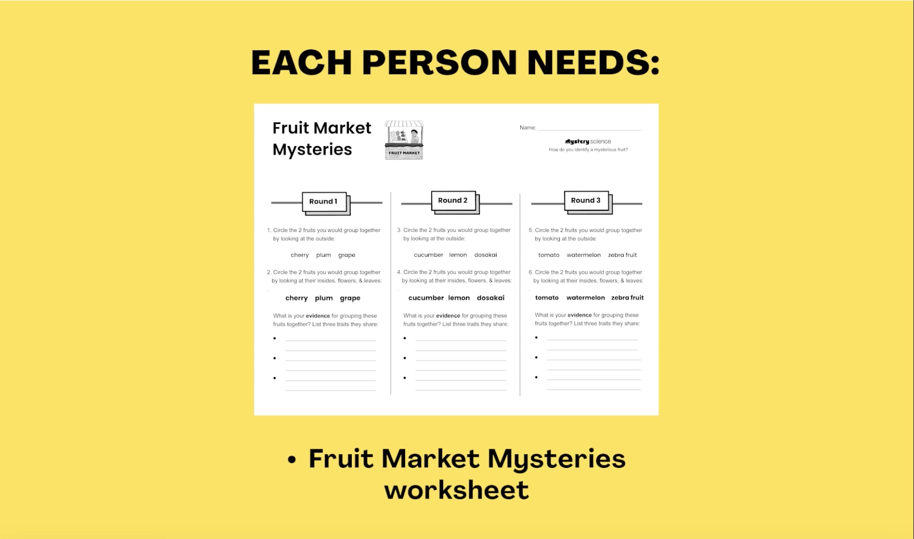 Fruit-Market-Supply-Step1
