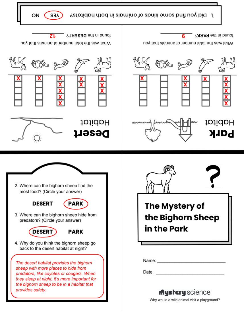 Does it move on its own?, 1st grade, 2nd grade, 3rd grade Science  Worksheet